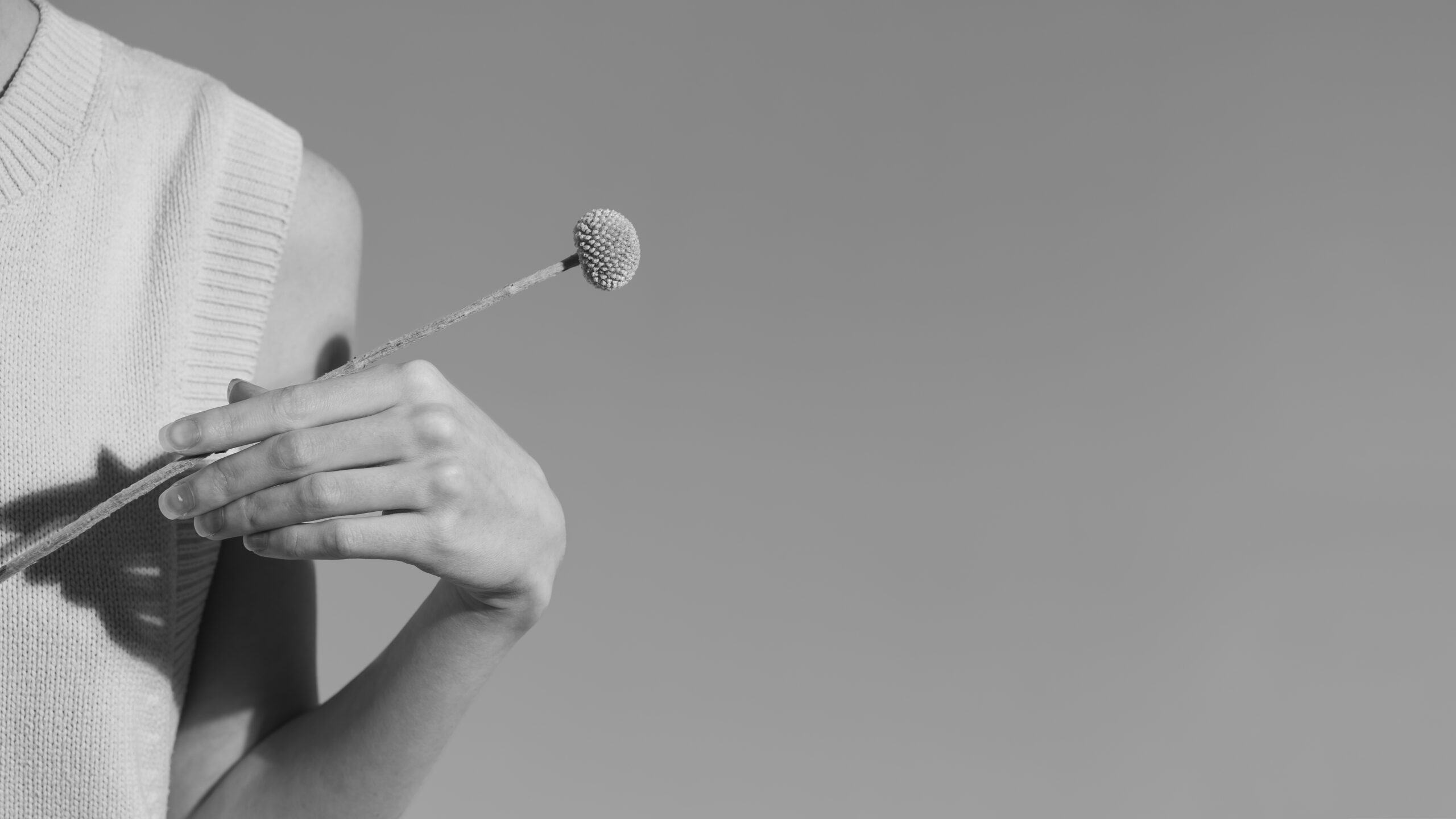 vue de face main tenant plante noir et blanc